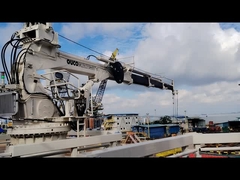 2.5T14M installazione e messa in servizio della gru della piattaforma di trivellazione offshore!