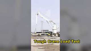 Test di carico OUCO 5T@15M Knuckle Boom Crane BV